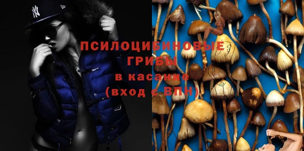 скорость Алзамай