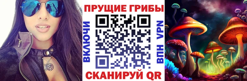 дарнет шоп  Харабали  OMG tor  Псилоцибиновые грибы Psilocybine cubensis 